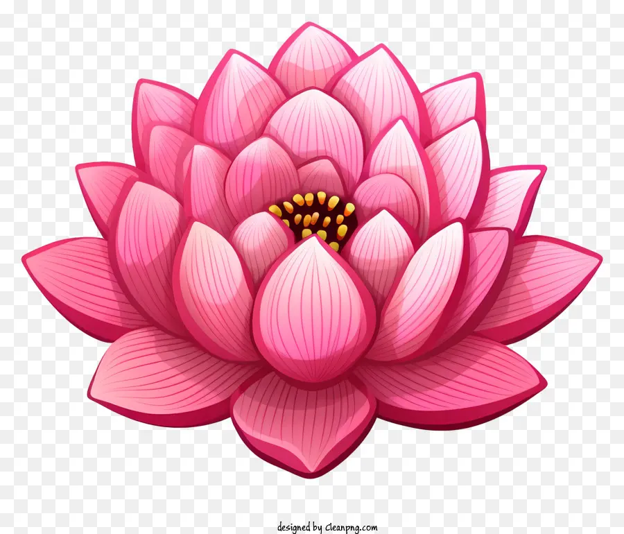 Pembe Lotus Çiçeği，Yaprakları PNG