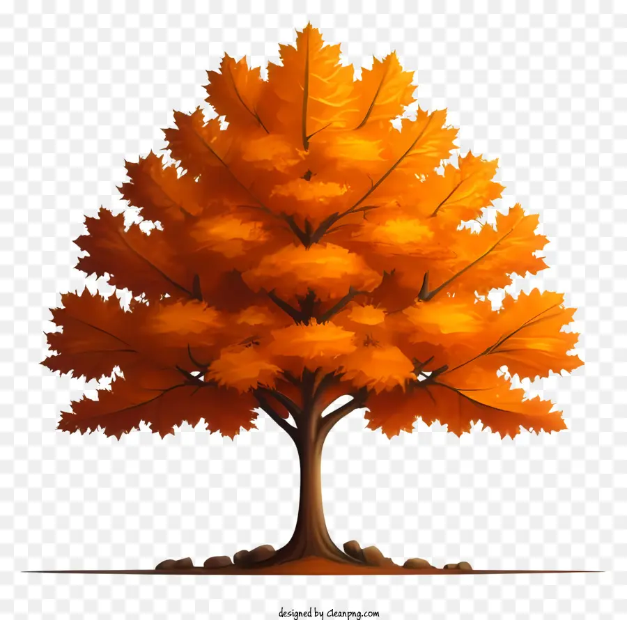 Portakal Ağacı，Kahverengi Yapraklar PNG