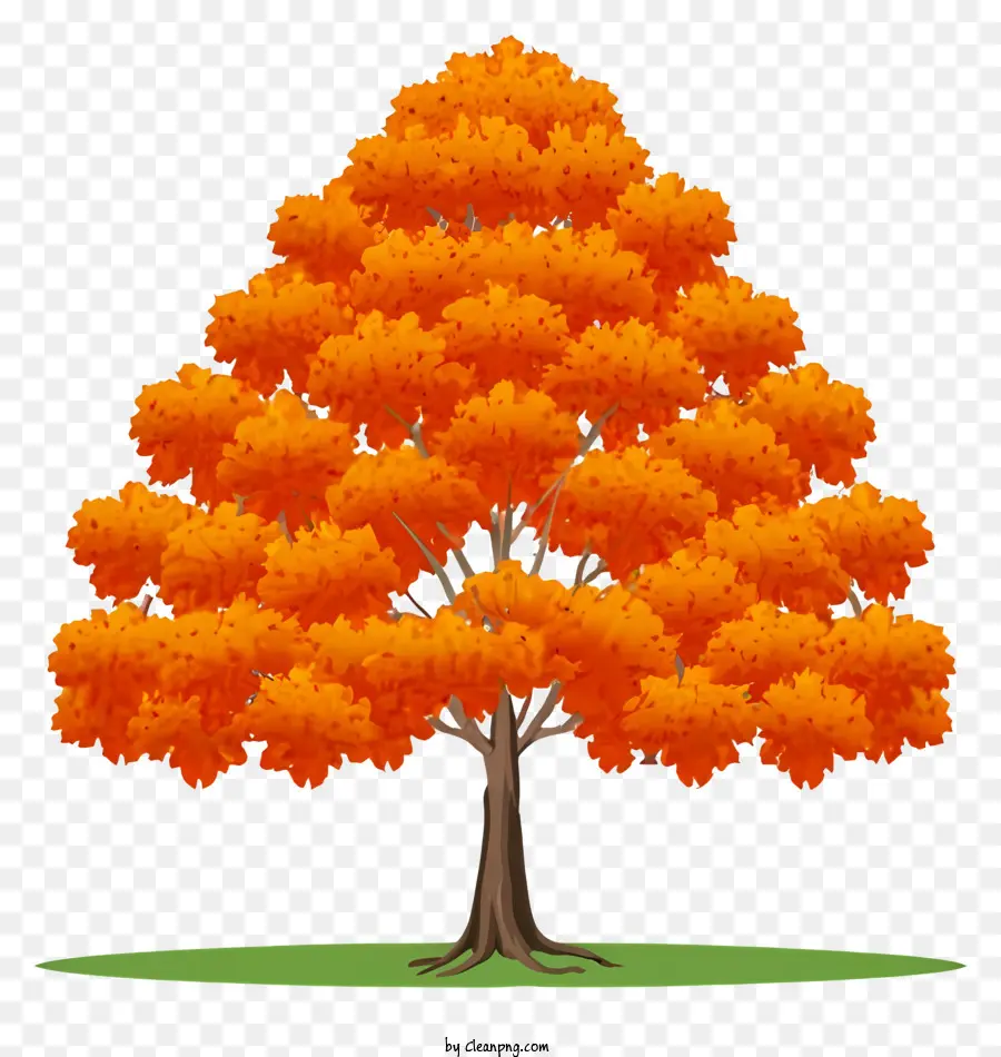 Ağaç，Turuncu Yapraklar PNG