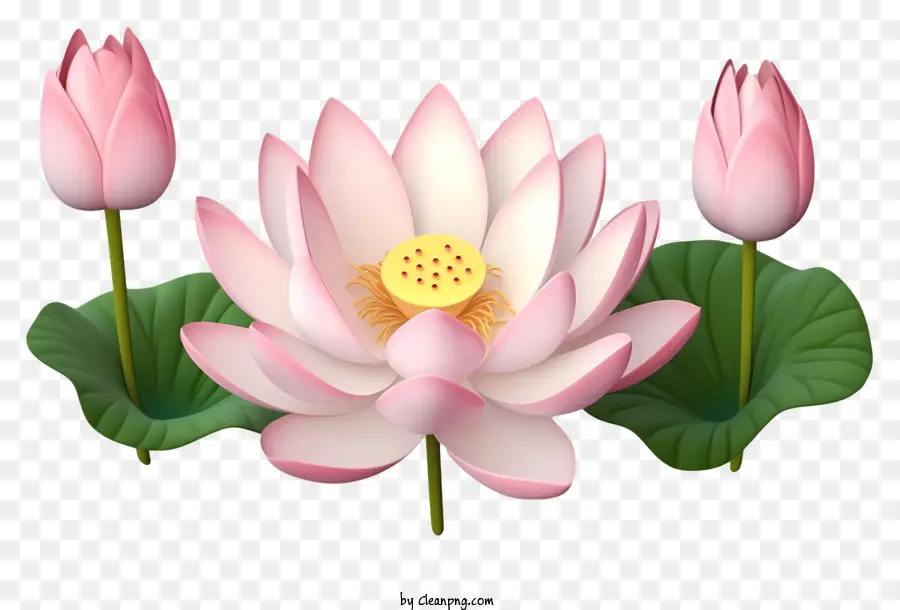 Pembe Lotus Çiçeği，Yeşil Yaprakları PNG