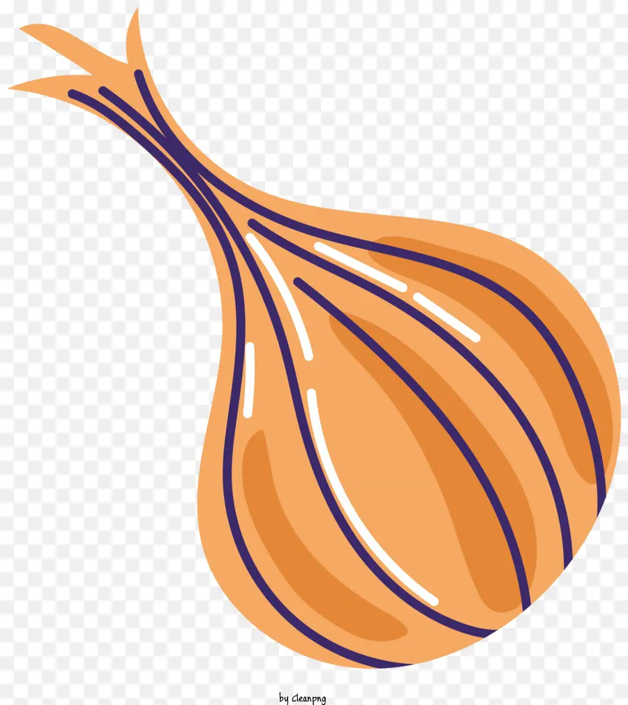 Portakal Soğanı，Soğan PNG
