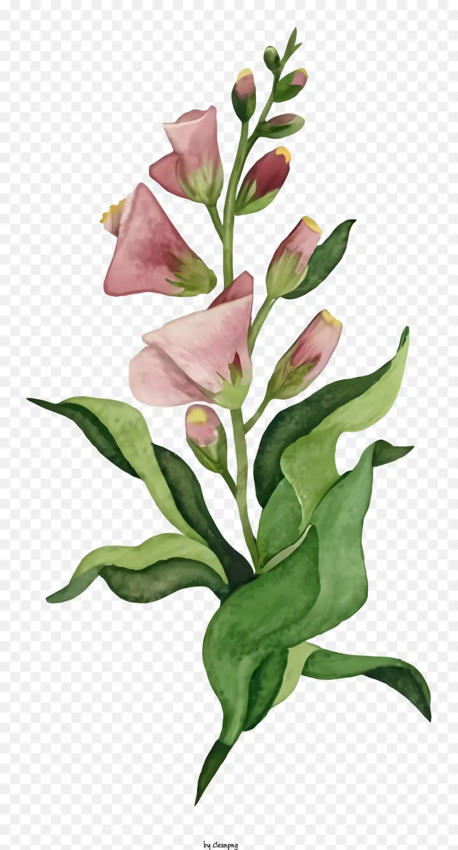 Çiçek Çizim，Yeşil Yaprakları PNG