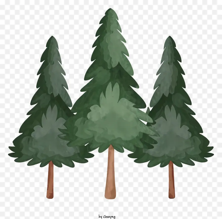Siyah Beyaz Görüntü，Uzun Yeşil Ağaçlar PNG