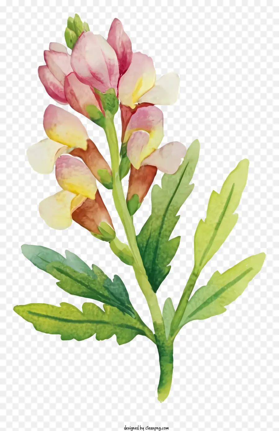 çiçek Boyama，çiçek Buketi PNG