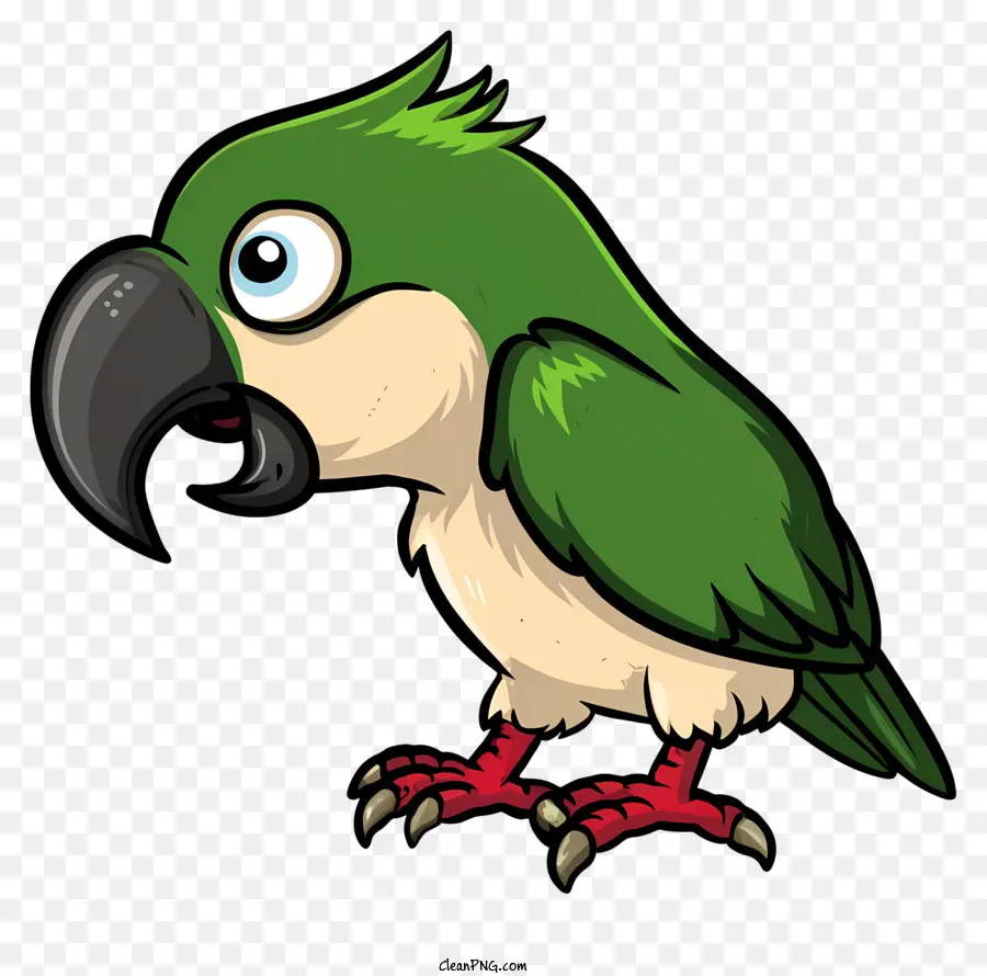 Karikatür Papağan，Yeşil Papağan PNG