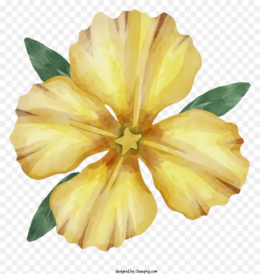 Sarı çiçek，Yeşil Yaprakları PNG