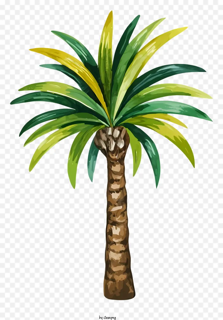 Palmiye Ağacı，Handpainted PNG