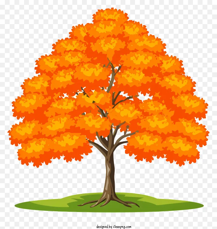 Portakal Ağacı，Ağaç Yaprakları PNG