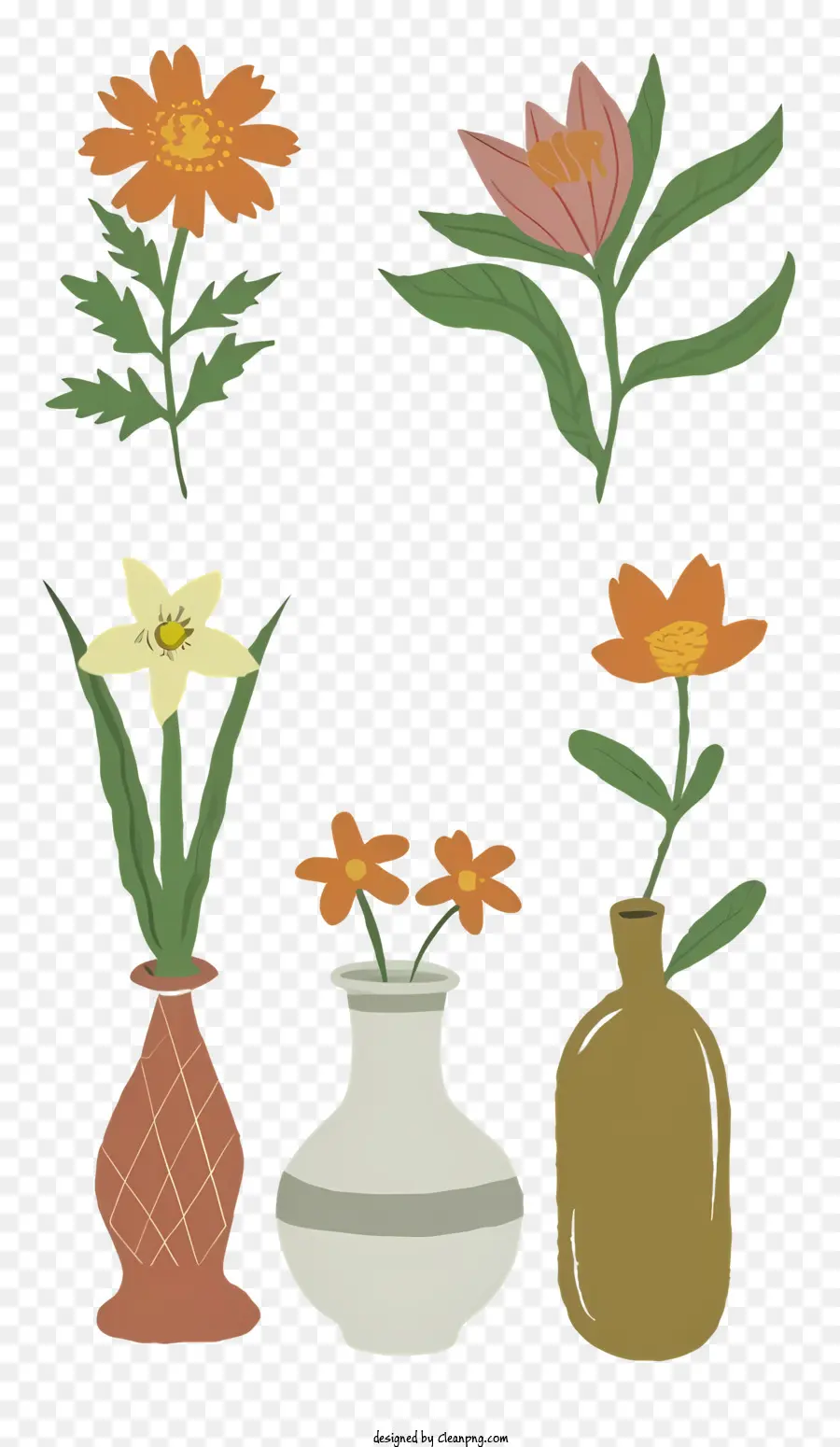 Vazolar，çiçek PNG