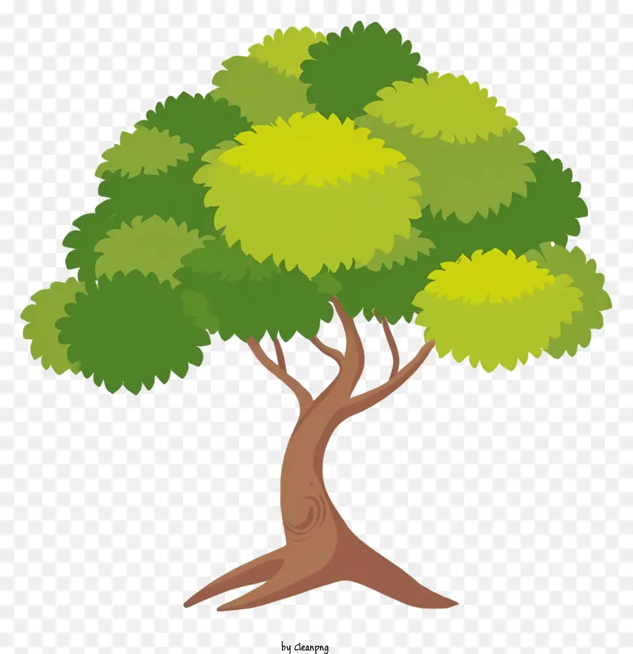 Yeşil Ağaç，Yaprakları PNG
