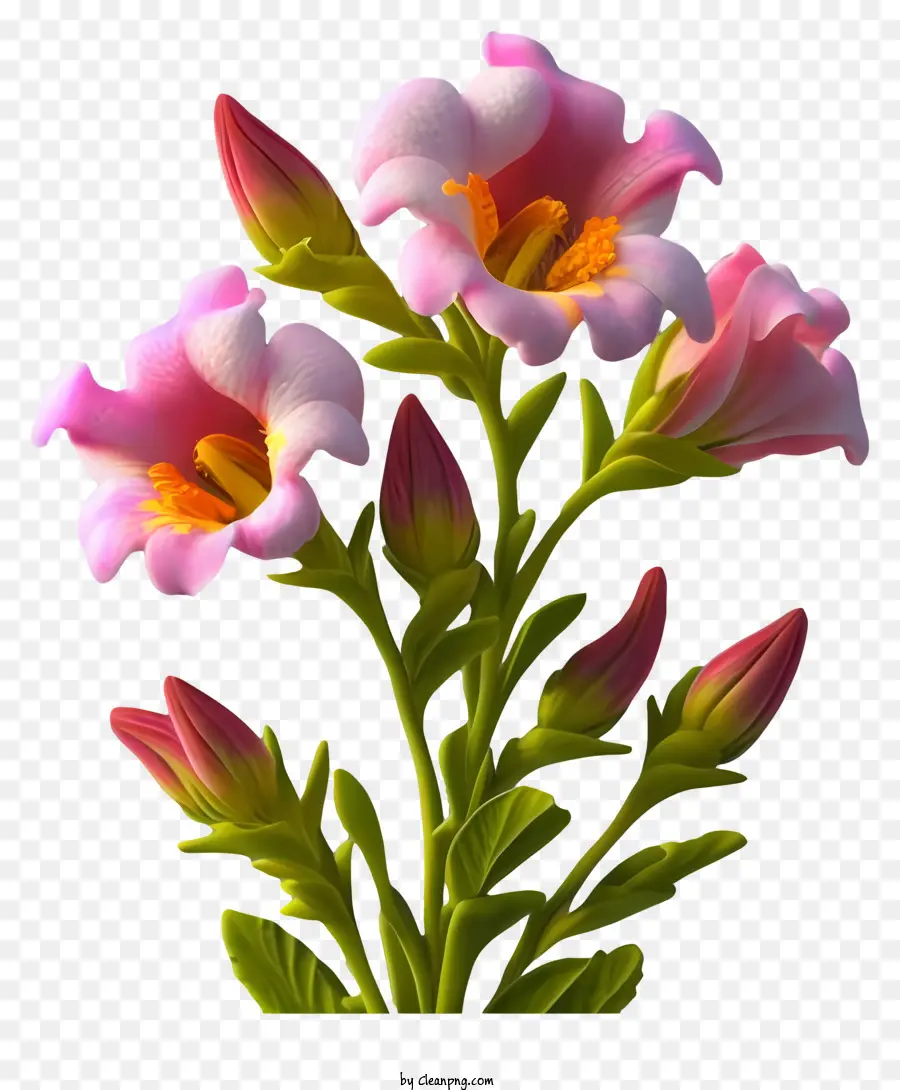 Pembe çiçekler，Buket PNG