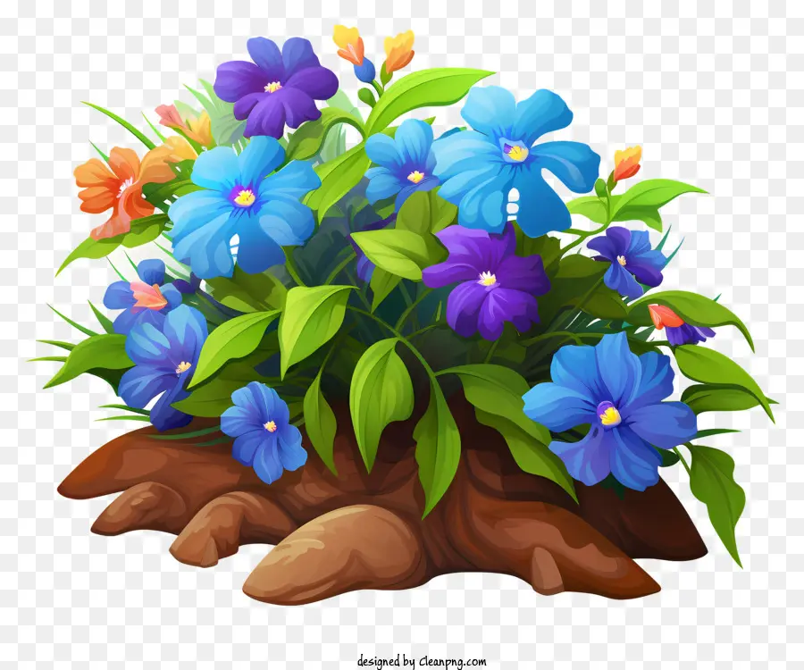 Bitki Pot，Renkli çiçekler PNG