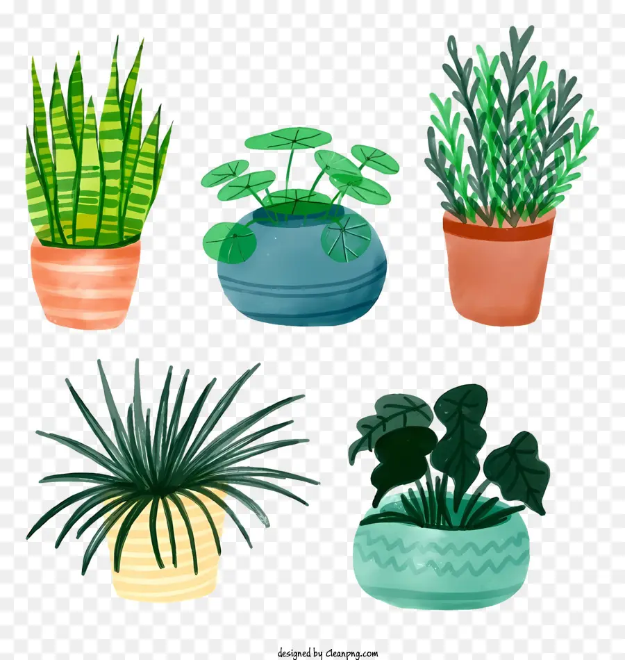 Saksı Bitkileri，Yeşil Bitkiler PNG