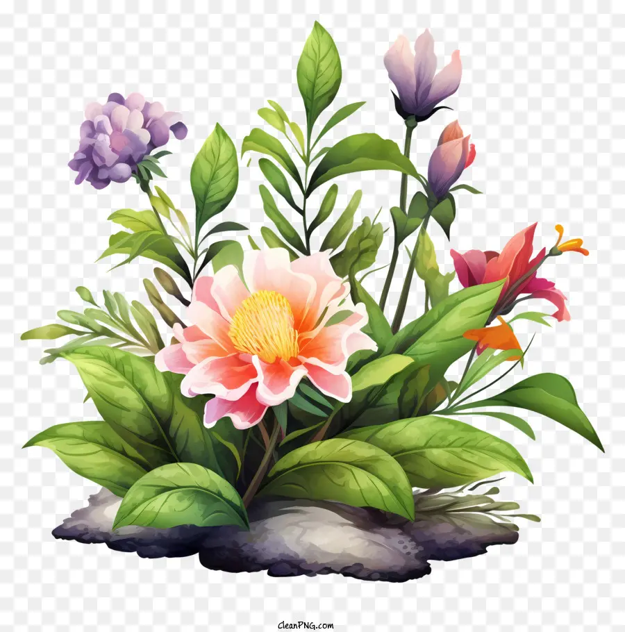 Renkli çiçekler，Çiçek Grubu PNG