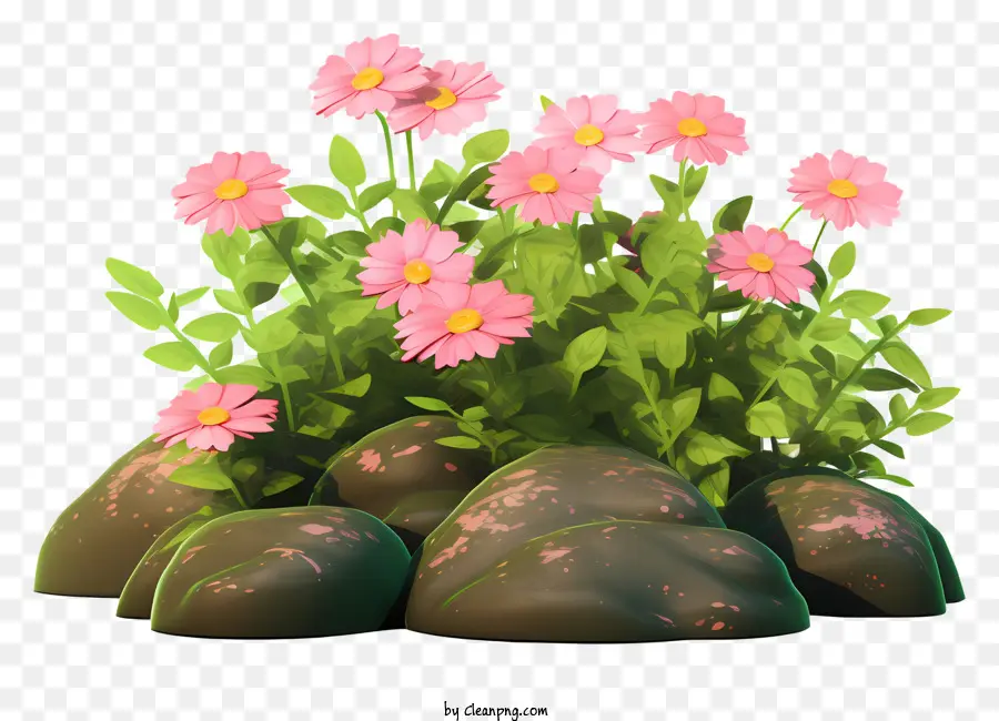 Pembe çiçekler，Beş Taç PNG