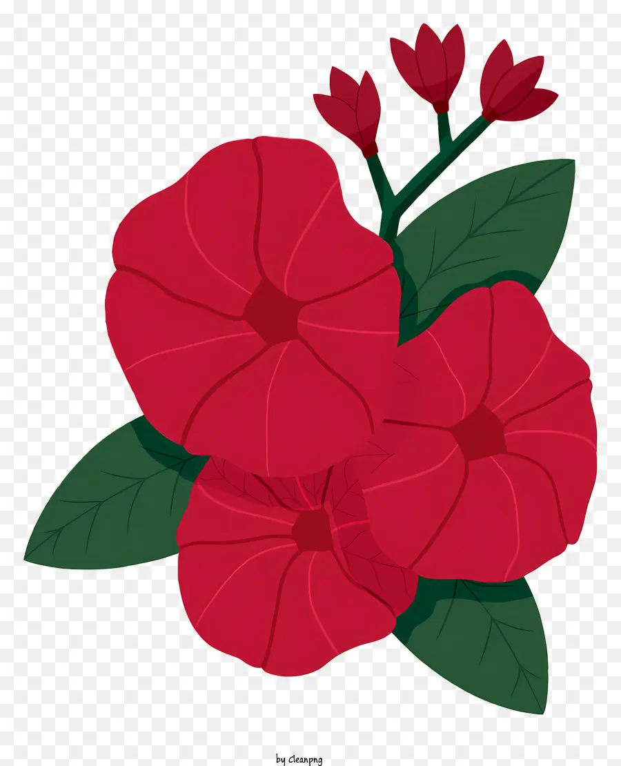 Kırmızı çiçek，Yeşil Yaprakları PNG