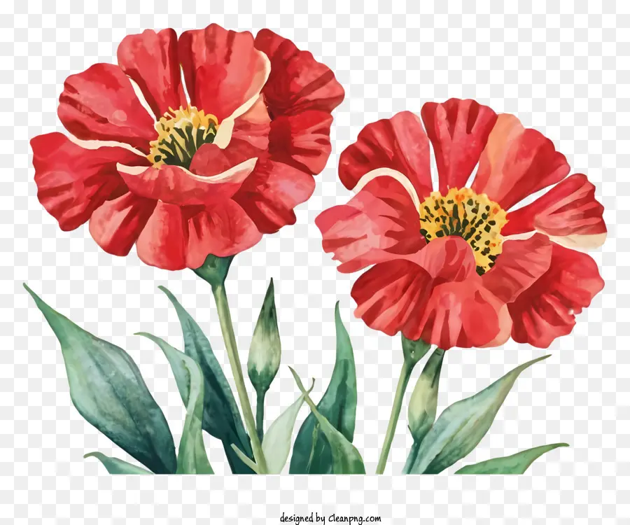 Kırmızı çiçekler，Yeşil Yaprakları PNG