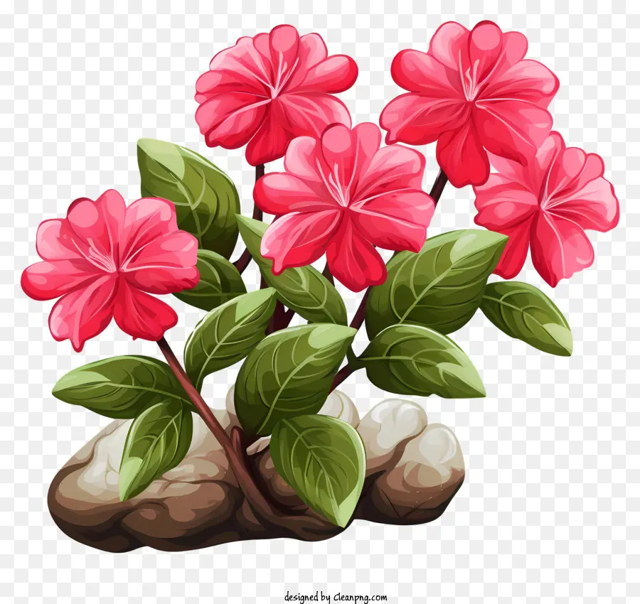 Pembe çiçekli Bitki，Yeşil Yaprakları PNG