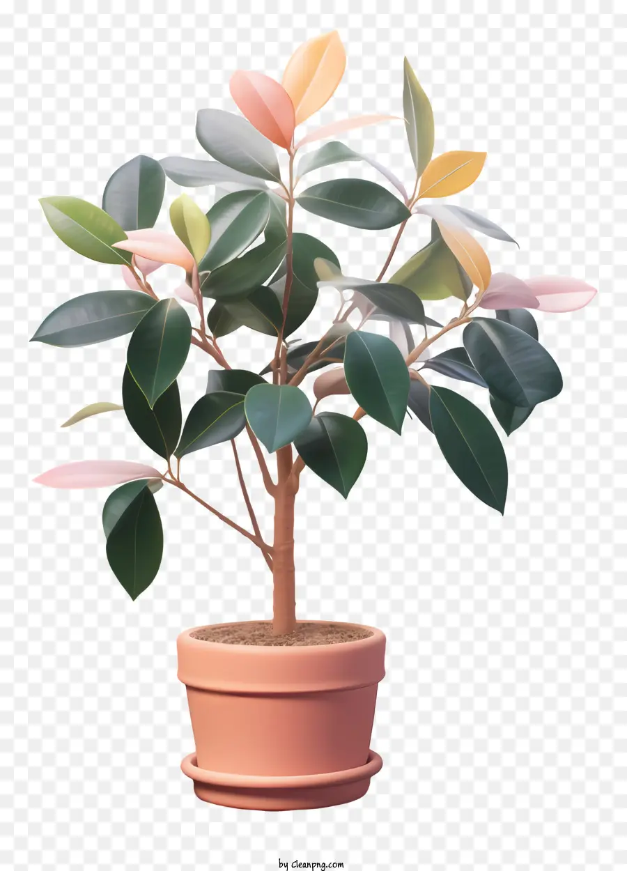 Küçük Saksı Ağaç，Yeşil Yaprakları PNG