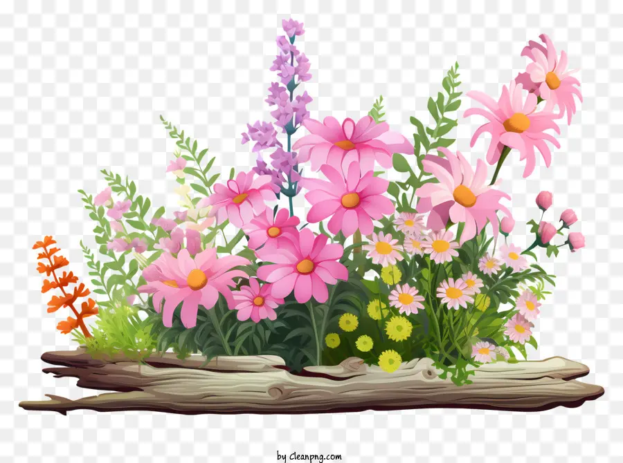 çiçek Aranjmanı，çiçek PNG