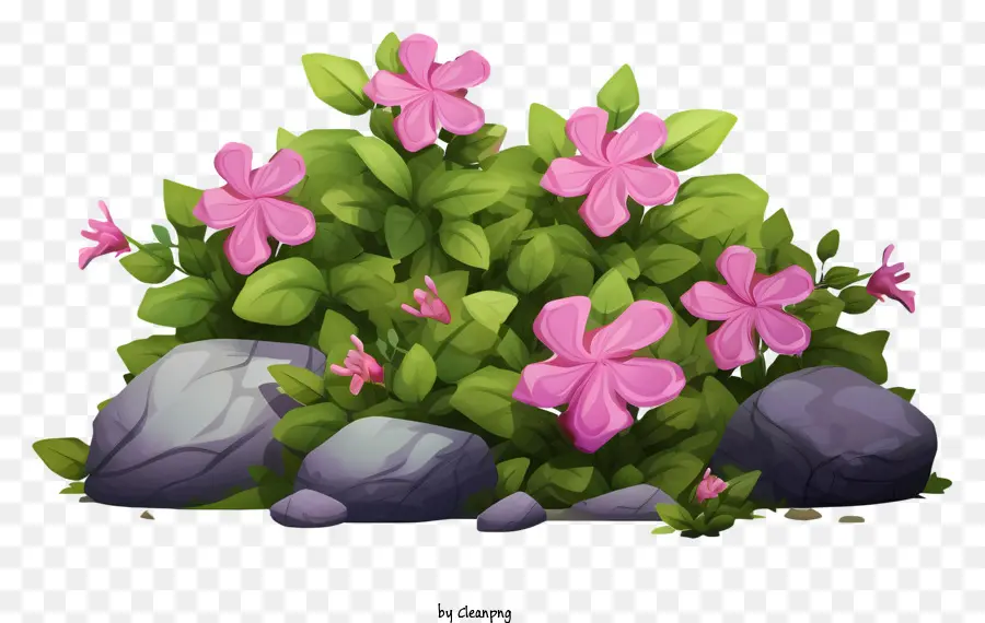 Pembe çiçekler，Çiçek Grubu PNG