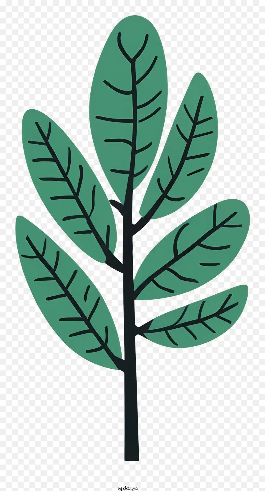 Bitki，Yeşil Yapraklı Bitki PNG