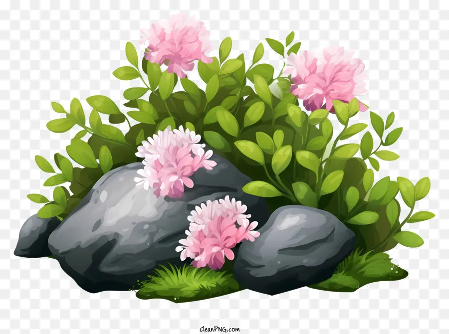 Pembe çiçek，çiçek Yetiştirme PNG