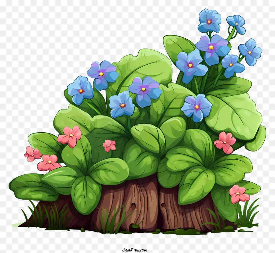 Küçük Yeşil Güdük，Mavi çiçekler PNG