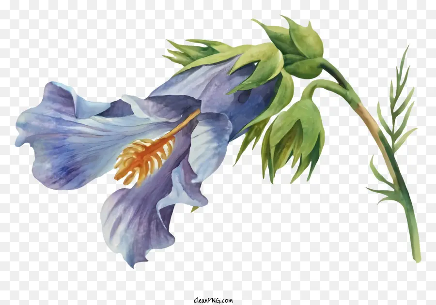 Resim，Mavi çiçek PNG