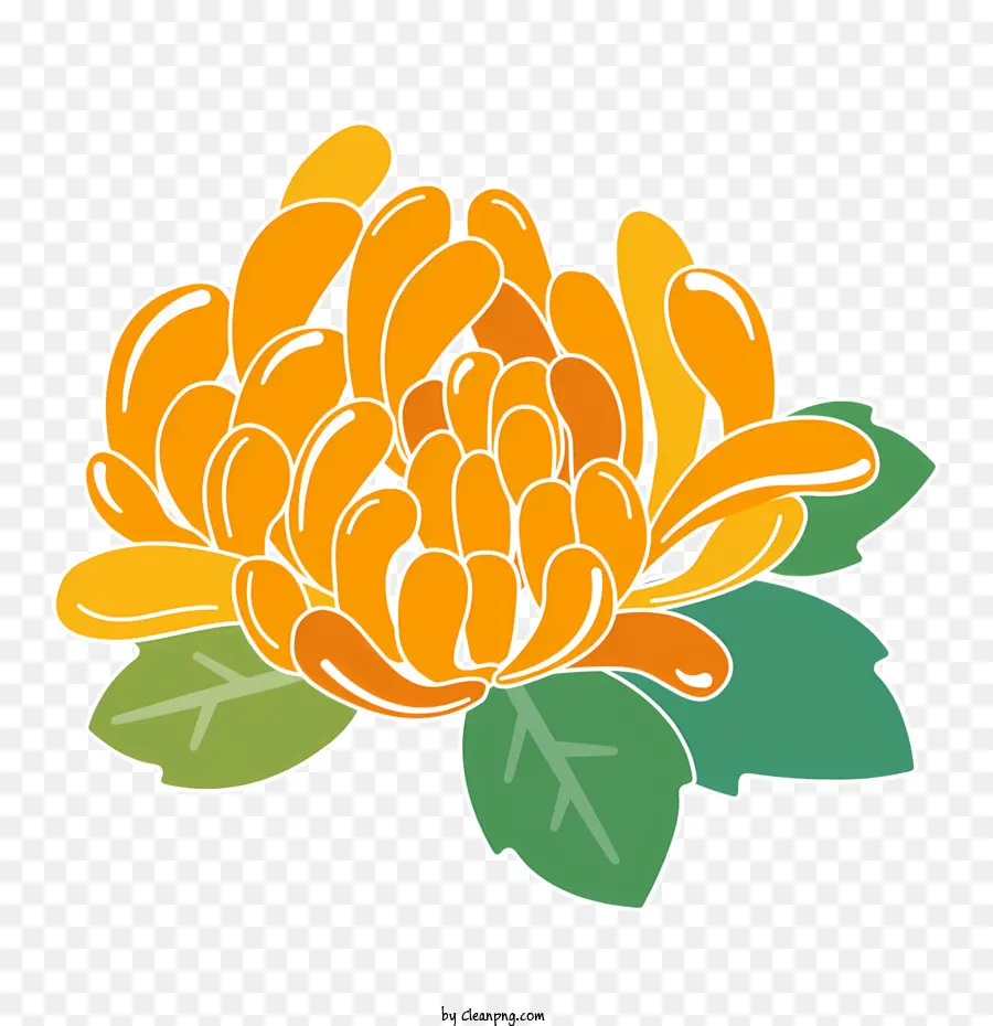 Turuncu Krizantem，çiçek PNG