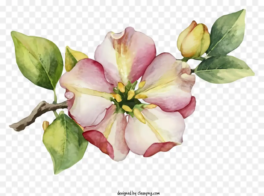 Pembe çiçek Boyama，Gerçekçi çiçek Sanat Eseri PNG