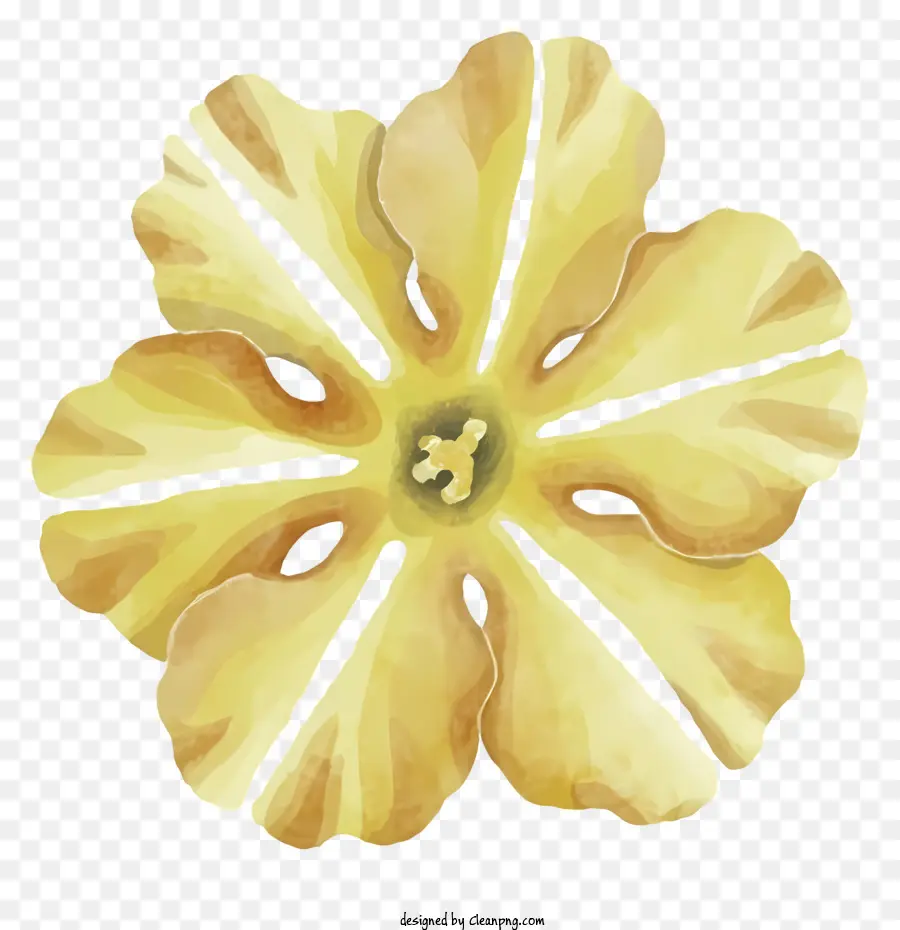 Büyük Sarı Çiçek，Küçük çiçekli çiçek PNG