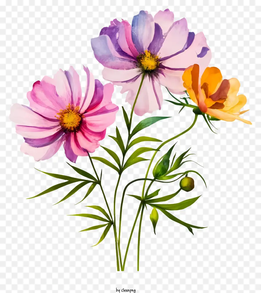 Suluboya çiçek，Pembe çiçekler PNG