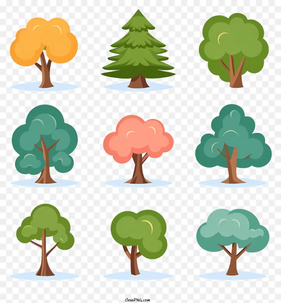 Farklı Mevsimlerde Ağaçlar，Ağaç Türleri PNG