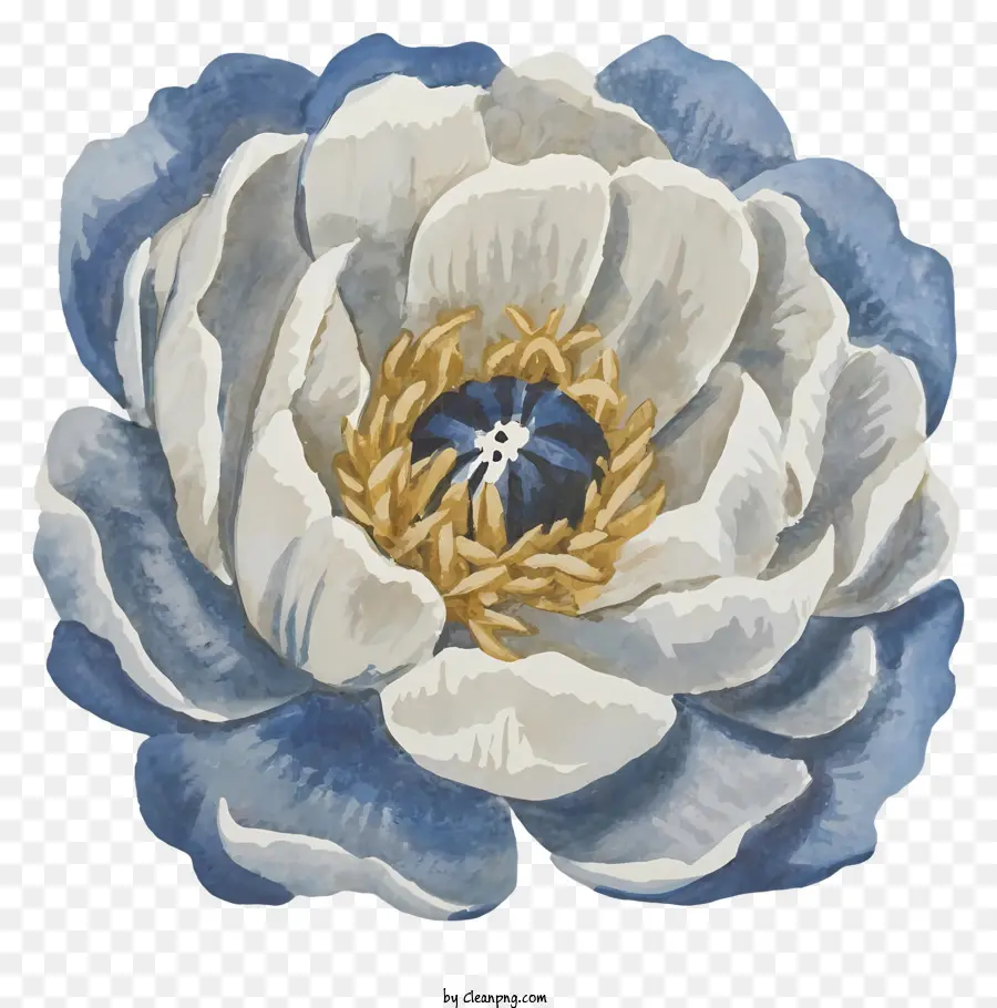 Mavi Ve Beyaz çiçek，Spiral Yapraklar PNG