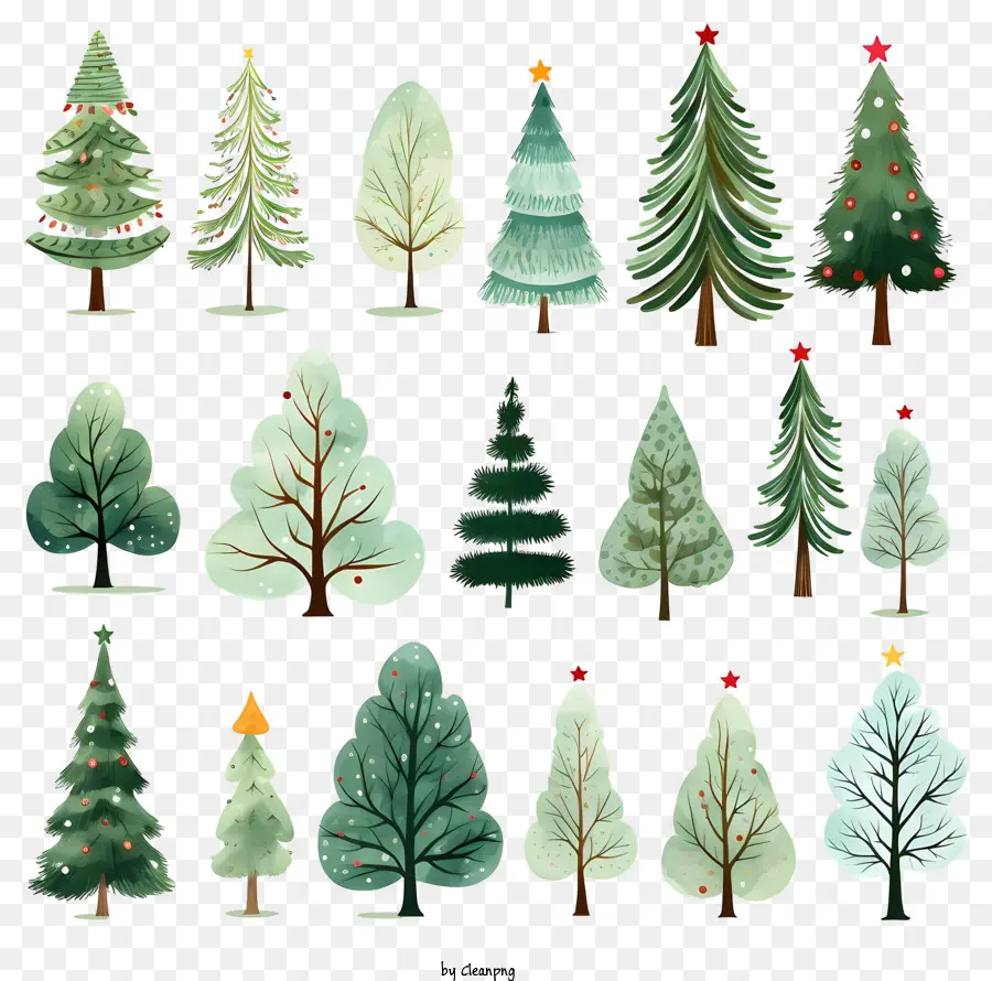 Noel Ağaçları，Renkli Noel Ağaçları PNG