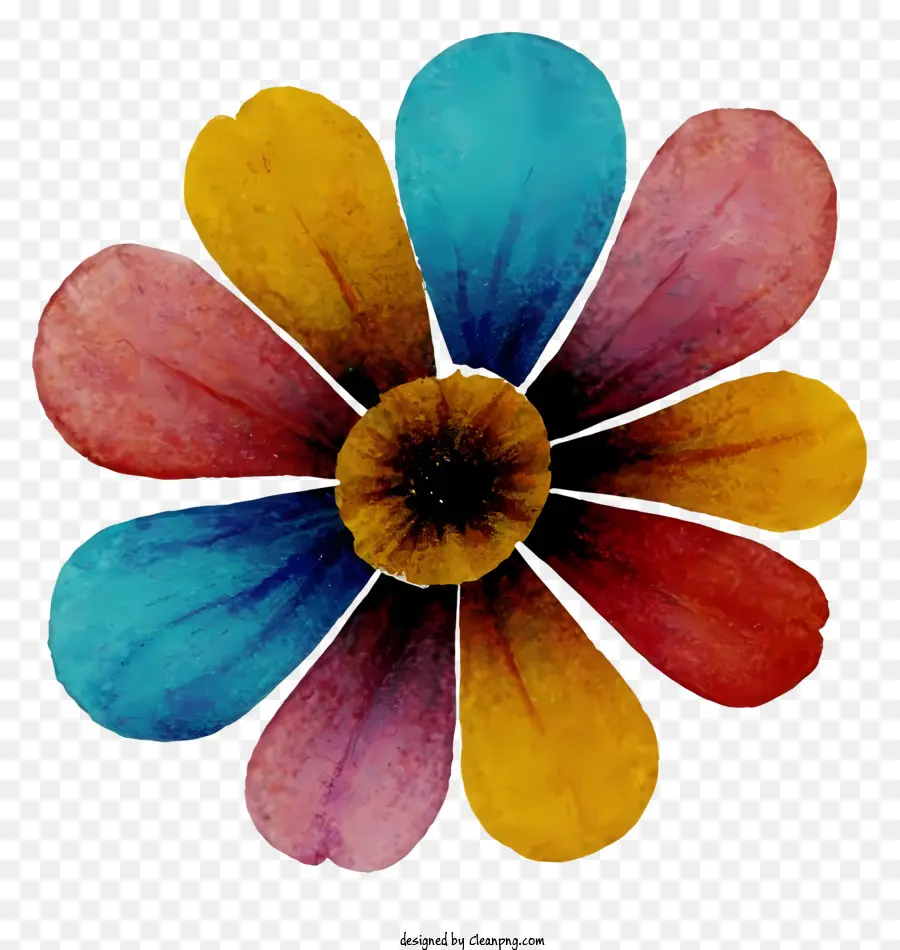 çok Renkli çiçek，Balmumu çiçek PNG