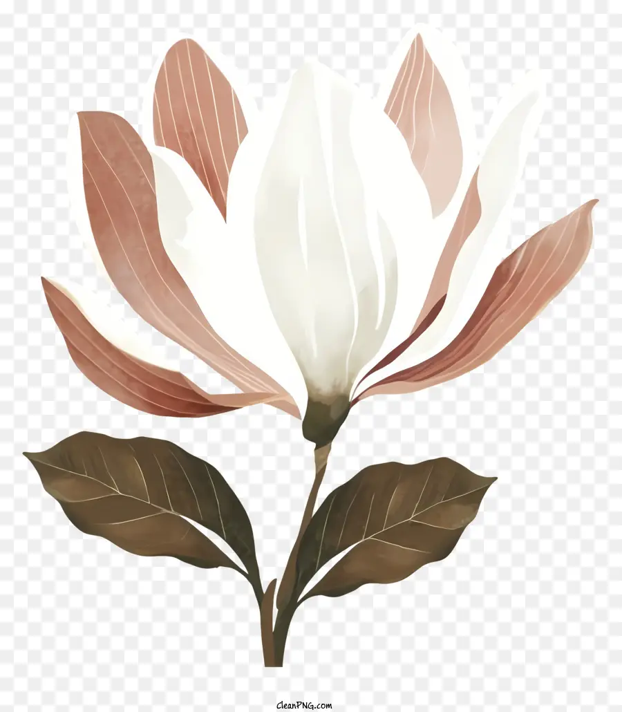 Beyaz çiçek，Pembe Ve Kahverengi Yapraklar PNG