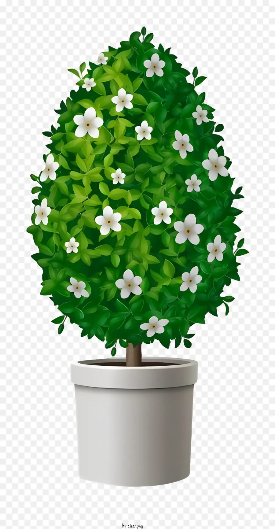 Saksı Bitkisi，Beyaz çiçekler PNG