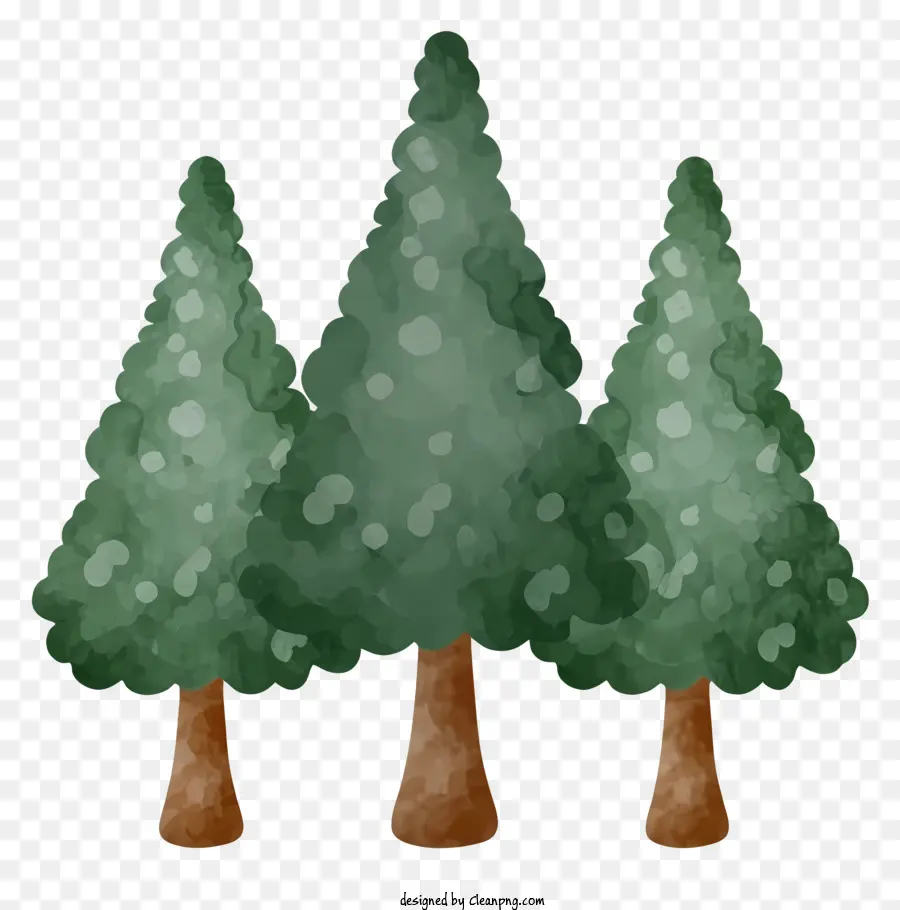 çam Ağaçları，Orman PNG