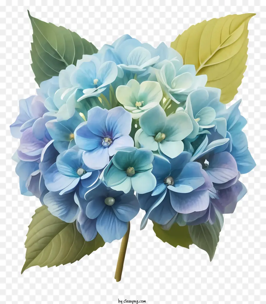 Bahçecilik Çiçeği，Açık Mavi Çiçek PNG