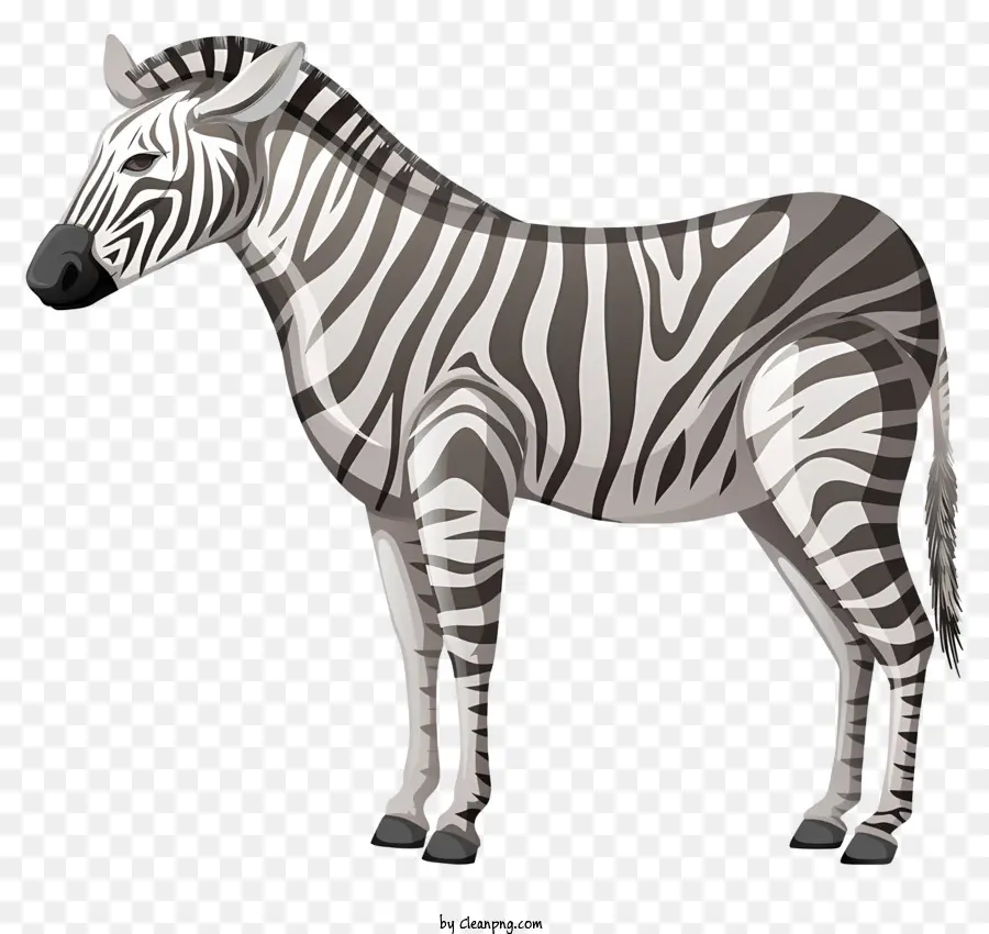 Sevimli Zebra，Karikatür Zebra PNG