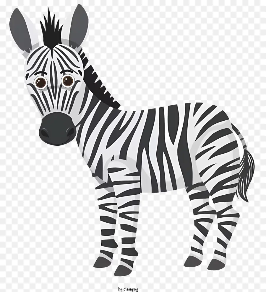 Sevimli Zebra，Karikatür Zebra PNG