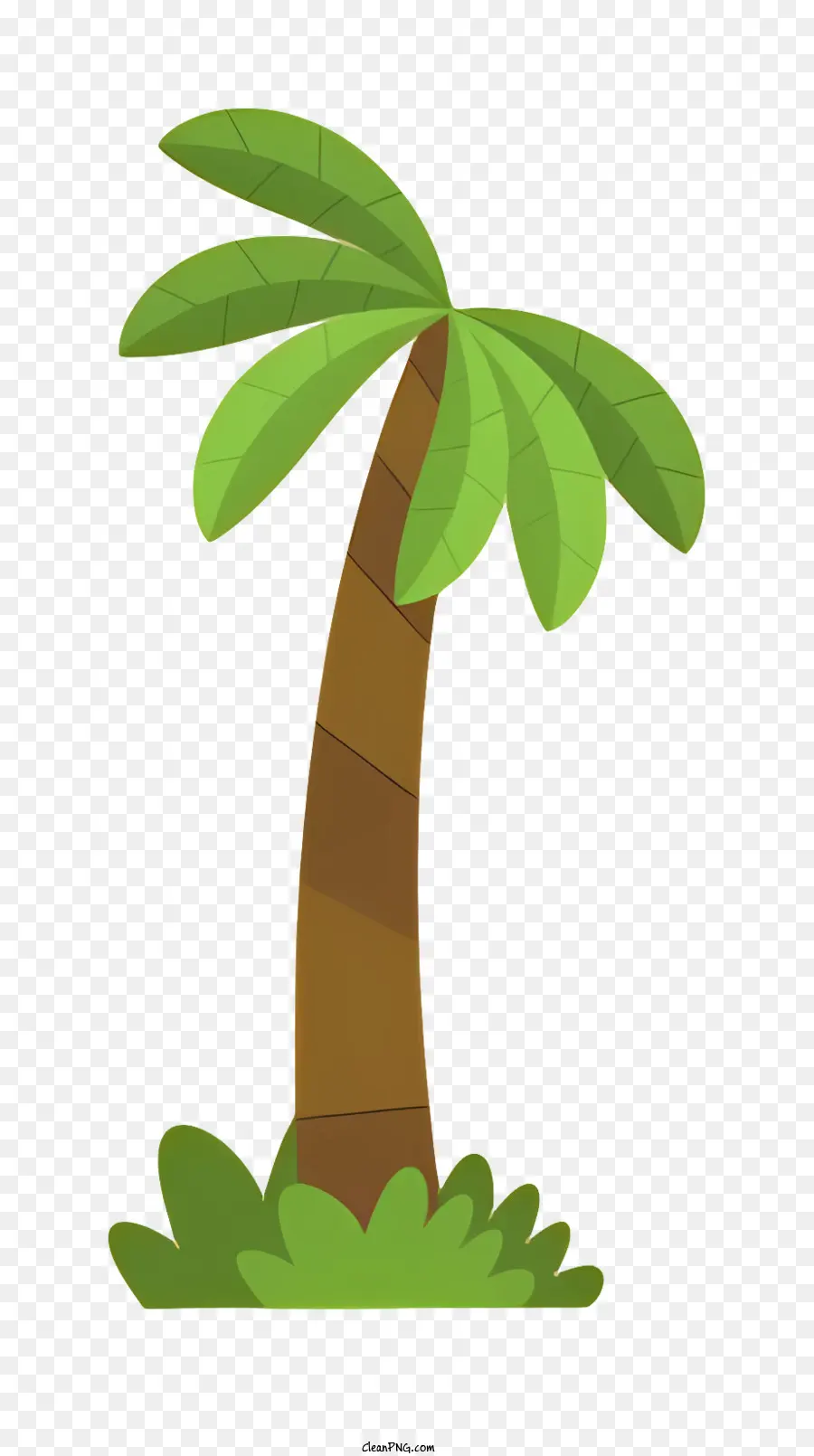 Palmiye Ağacı，Yeşil Yaprakları PNG