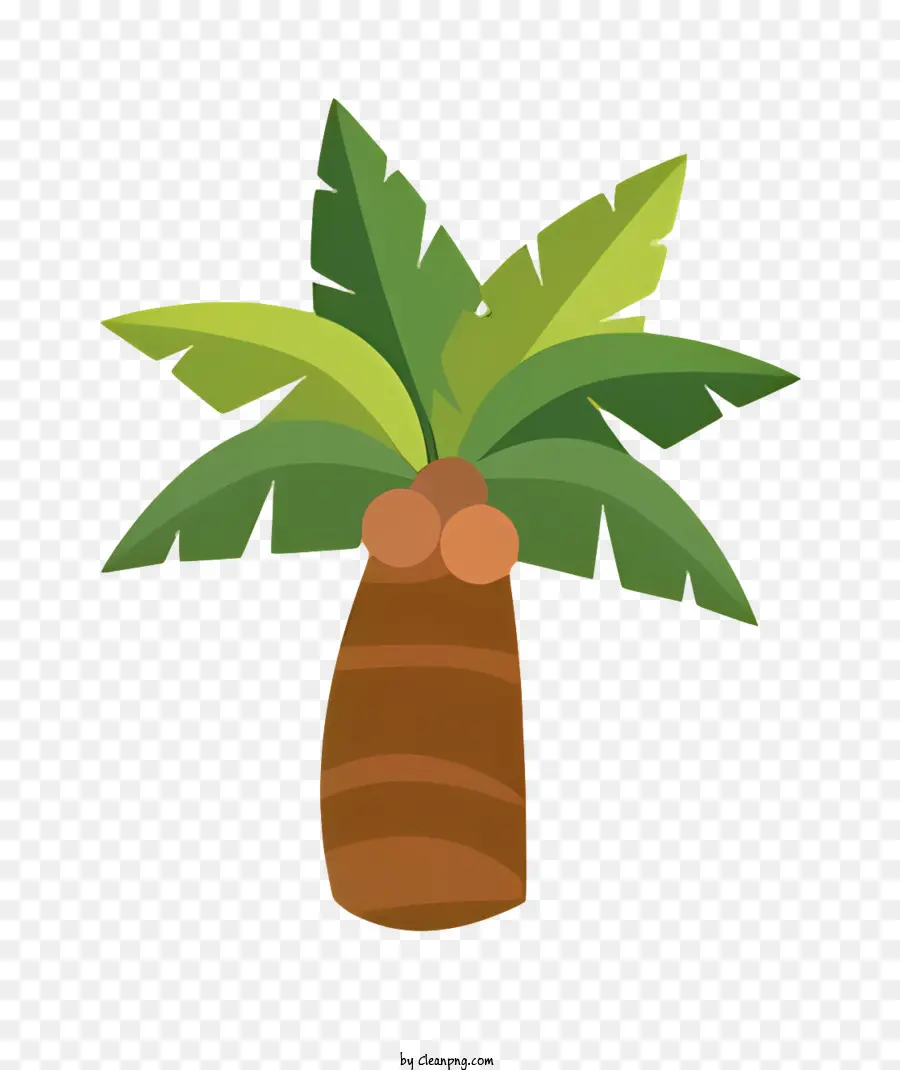 Palmiye Ağacı，Hindistan Cevizli PNG