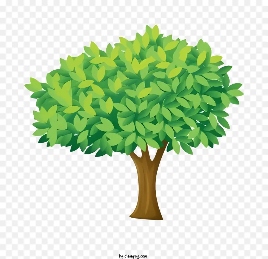 Yeşil Ağaç，Dalları PNG