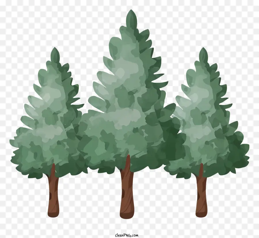 Ağaçlar，Uzun Boylu Ağaçlar PNG