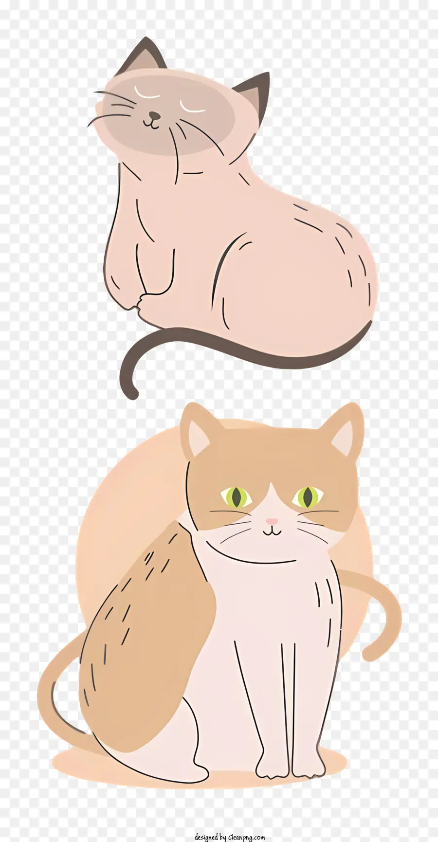 Karikatür Kedi，Iki Kedi PNG