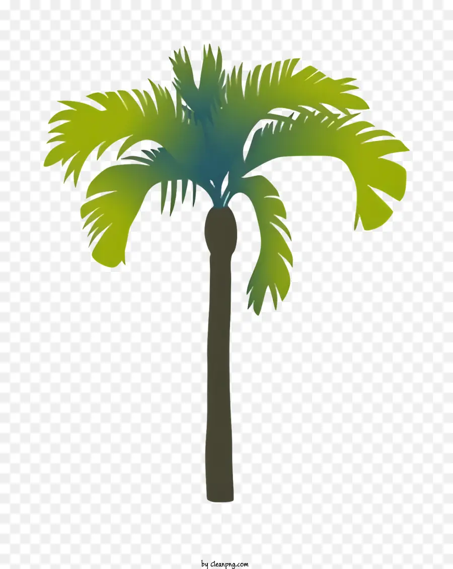 Palmiye Ağacı，Yeşil Palmiye Ağacı PNG