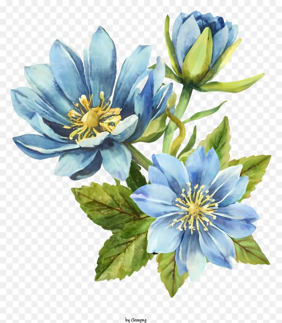 Suluboya Resim，Mavi çiçekler PNG
